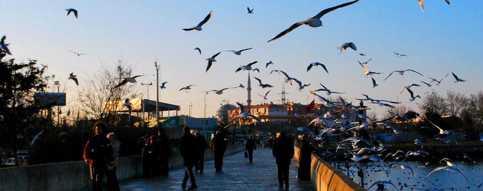 Bursa Su Kaçağı Tespiti | Bursa Yapı Tesisat | 0532 511 81 16